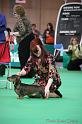 Crufts2011_2 833